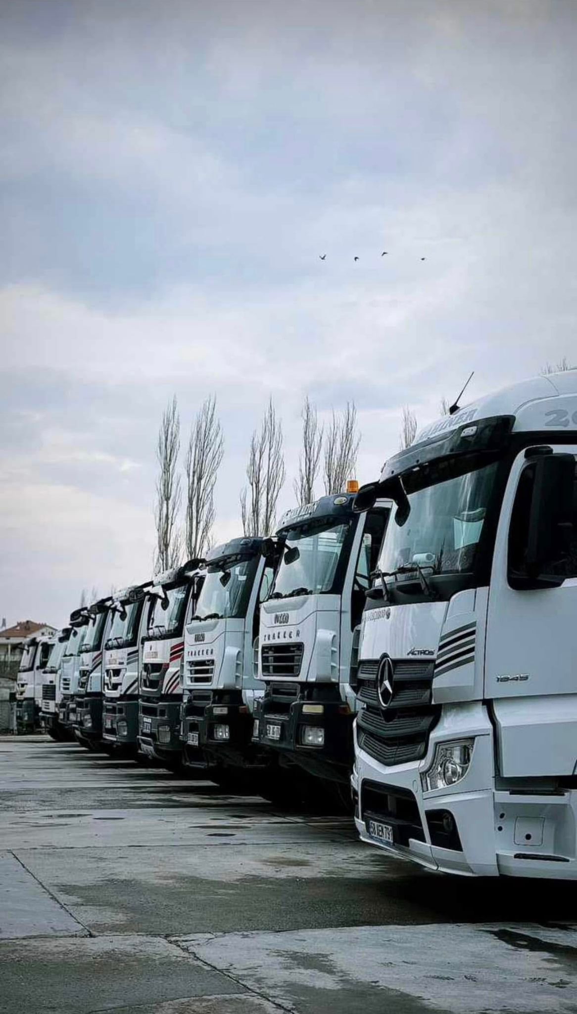 Şahiner Beton ile Şarkışla, Altınyayla ve Gemerek'te Güvenli Yapılar.